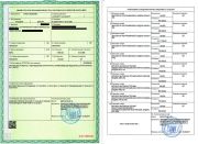 Пример лицензии на бумажном носителе